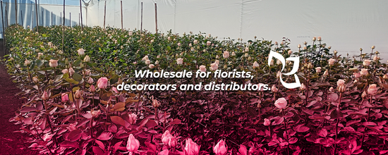 Catalog – FlowerVision